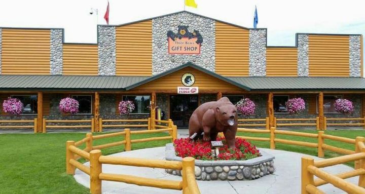 Yellowstone Bear World - Idaho Wildlife Safari Experience