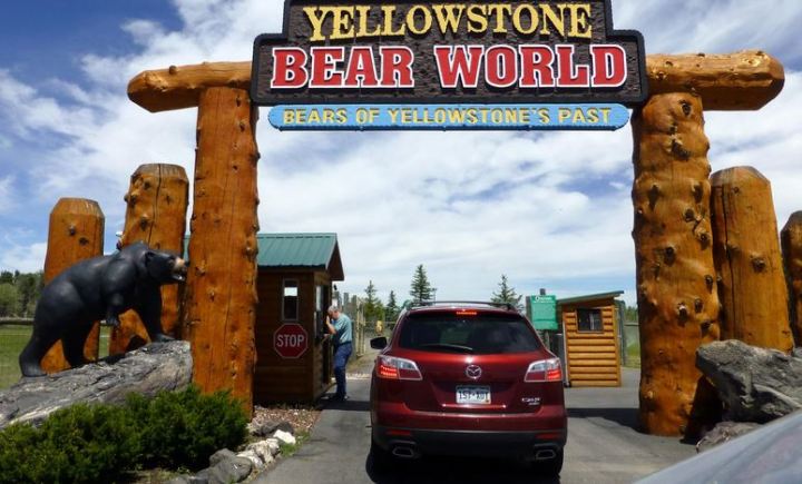 Yellowstone Bear World - Idaho Wildlife Safari Experience