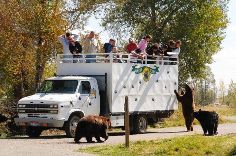 The Unique Park Everyone In Idaho Should Visit At Least Once