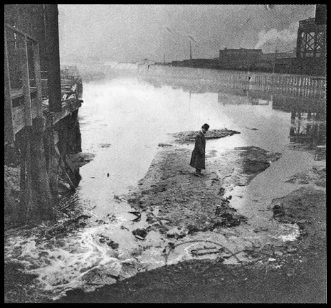 What Happened At This Section Of The Chicago River in Illinois is Truly Disgusting