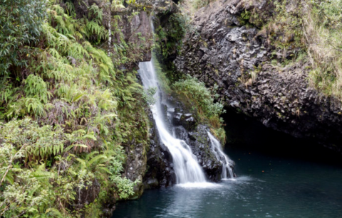 The One Place In Hawaii That Looks Like Something From Middle Earth