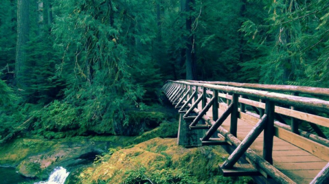 This Hot Spring Day Trip Near Portland Is All You Need For Fall