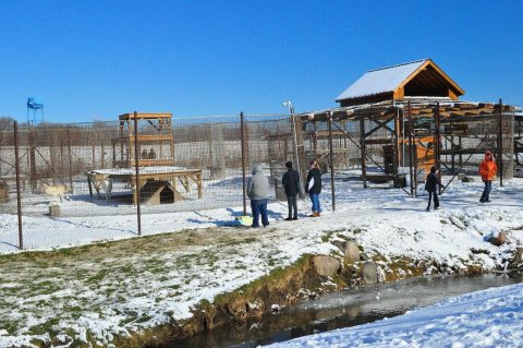 The Unique Park Everyone In Illinois Should Visit At Least Once