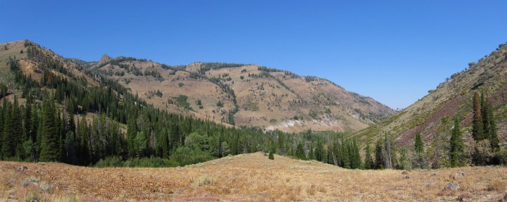 Jarbidge