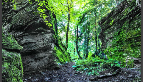 The One Place In New York That Looks Like Something From Middle Earth