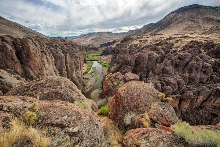 Owyhee