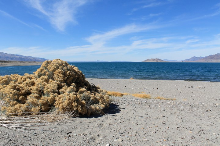 Pyramid Lake