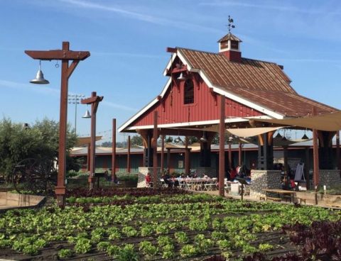 There’s A Restaurant On This Remote Southern California Farm You’ll Want To Visit