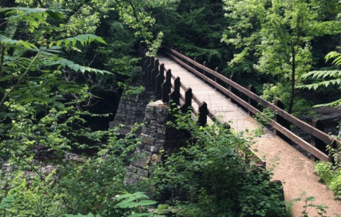 Explore Ancient Volcanoes At Dells Of The Eau Claire Park In Wisconsin