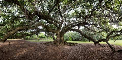 7 Wonders Of The World That Are Actually Right Here In New Orleans