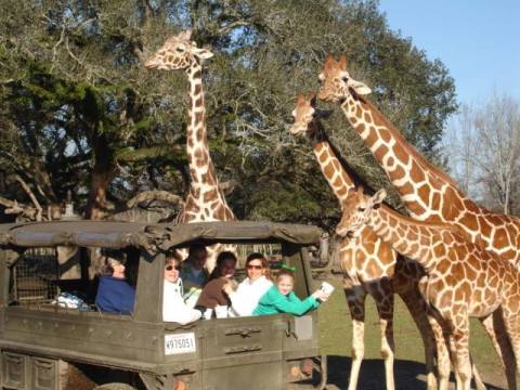 The Unique Park Everyone Near New Orleans Should Visit At Least Once