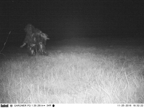 Kansas Police Set Up Wildlife Cam, Capture Something Even Better On Film Instead