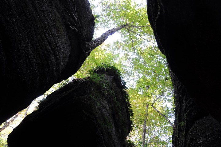 Nelson-Kennedy Ledges