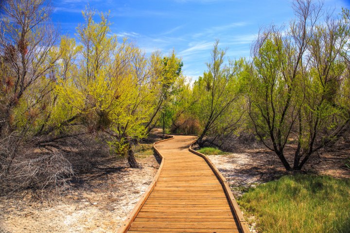 Ash Meadows National Wildlife Refuge