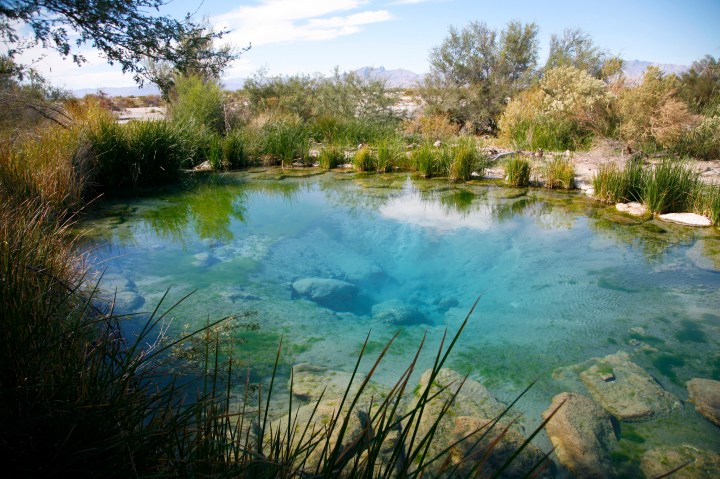 Ash Meadows National Wildlife Refuge