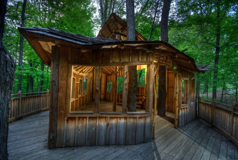 The Easy Ohio Hike To An Epic Tree House That Will Make You Feel Like A Kid Again