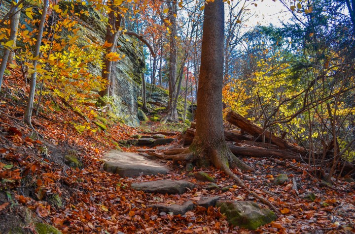 Natural wonders - Virginia Kendall Ledges