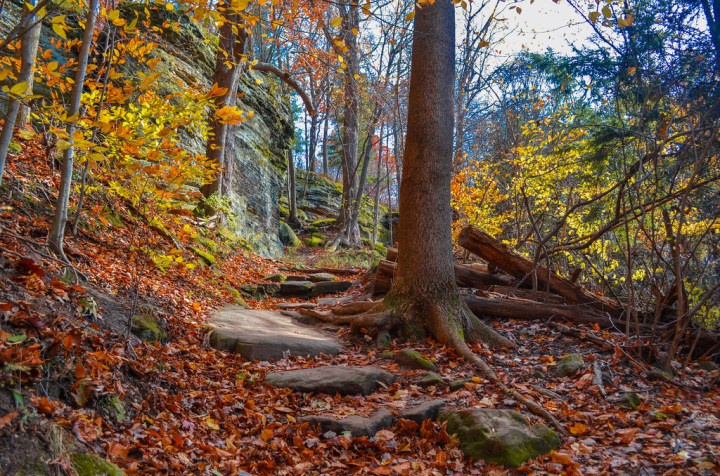 Natural wonders - Virginia Kendall Ledges