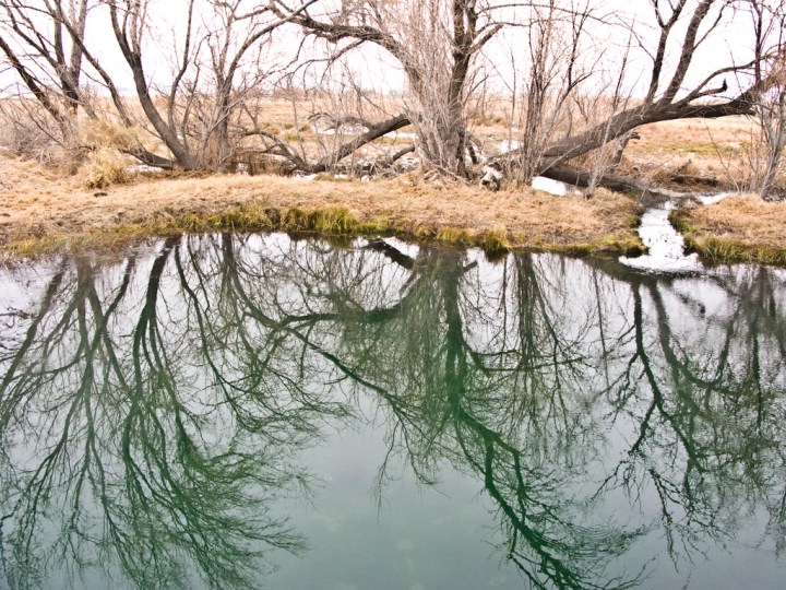 Frog Pond Hot Springs