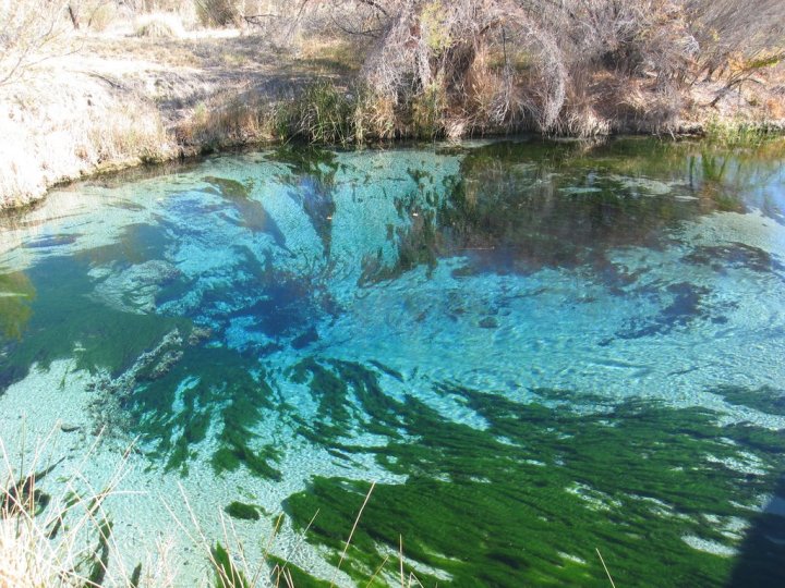 Ash Meadows National Wildlife Refuge