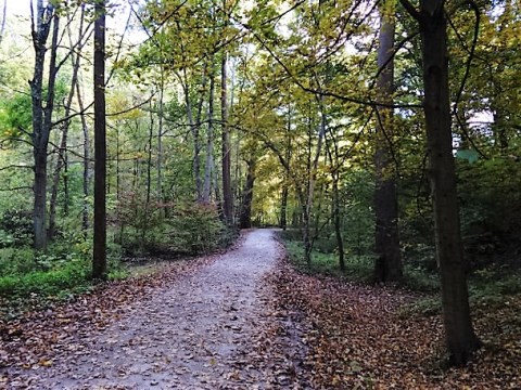 6 Easy Hikes To Add To Your Outdoor Bucket List In Pittsburgh