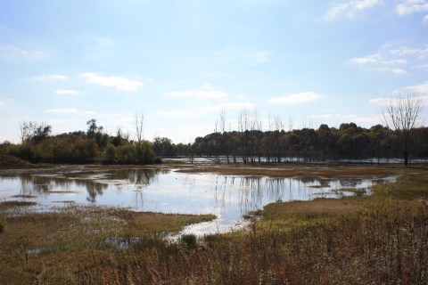 The Stunning Nature Preserve Hiding In Indiana Most People Don't Know About