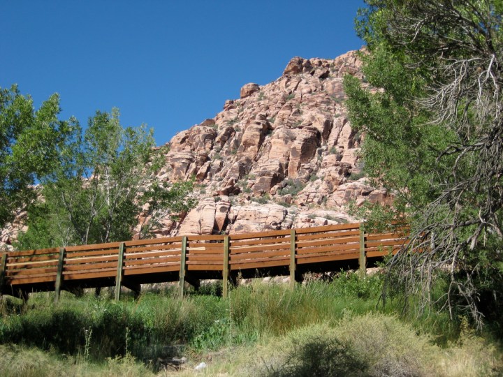 Calico Basin Red Springs