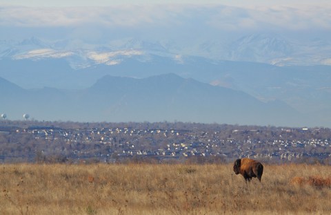 The Unique Park Everyone Near Denver Should Visit At Least Once