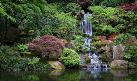 The Extraordinary Park Everyone In Oregon Should Visit At Least Once