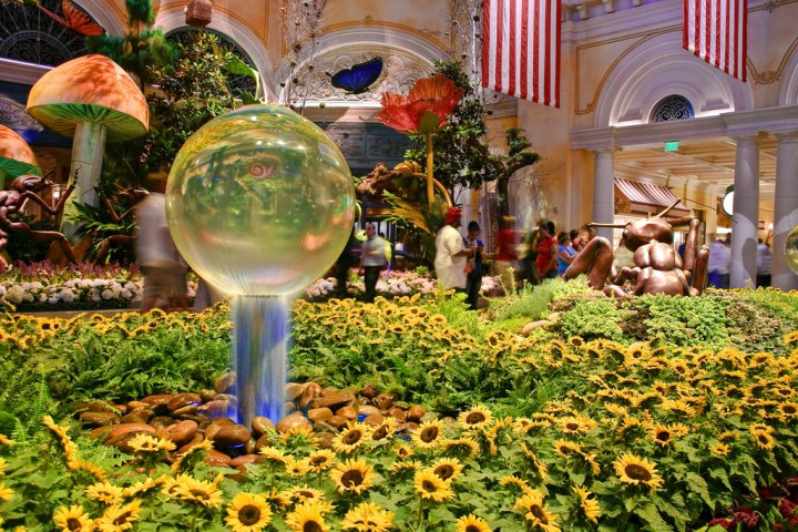 Bellagio Conservatory