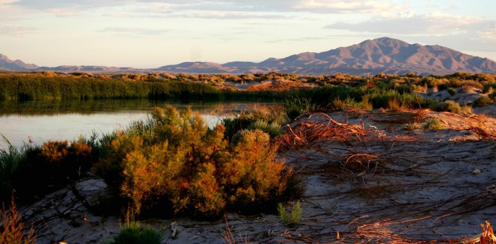 Ash Meadows National Wildlife Refuge