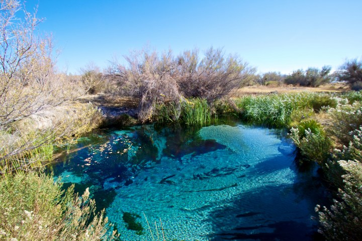 Ash Meadows National Wildlife Refuge