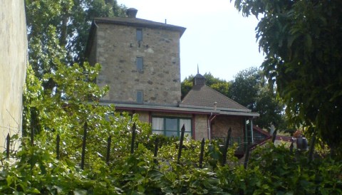 Entering This Hidden San Francisco Castle Will Make You Feel Like You’re In A Fairy Tale