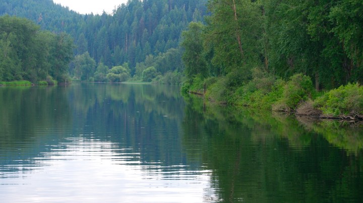 The St. Joe River, Idaho