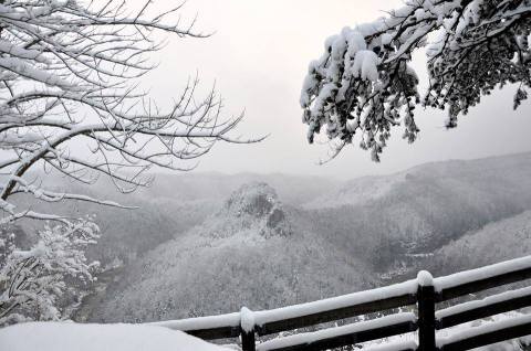 10 Picturesque Trails In Kentucky That Are Perfect For Winter Hiking