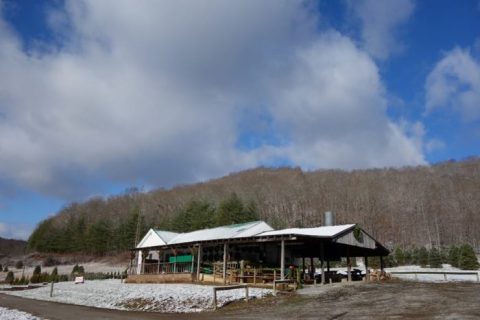 Pick Out Your Own Christmas Tree At These 10 Picture Perfect Farms In Kentucky