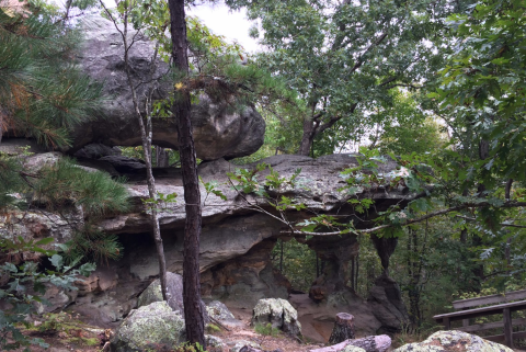 Most People Have No Idea This Enchanting Park In Missouri Exists