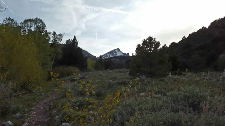 Baker and Johnson Lakes Trail