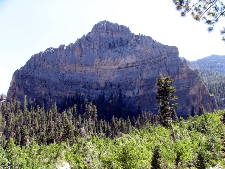 Cathedral Rock