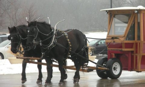 11 Winter Festivals In Iowa That Are Simply Unforgettable