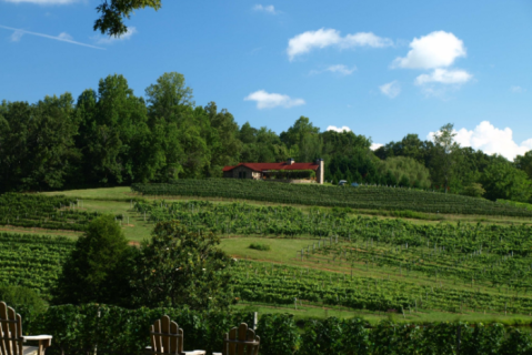 Take These 12 Vineyard Vacations In Georgia For A Unique Getaway