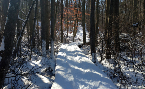 The One Winter Hike That Will Show You New Jersey Like Never Before