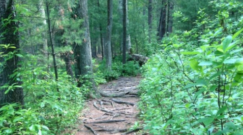 Spend The Night At Massachusetts' Most Haunted State Park For A Truly Terrifying Experience