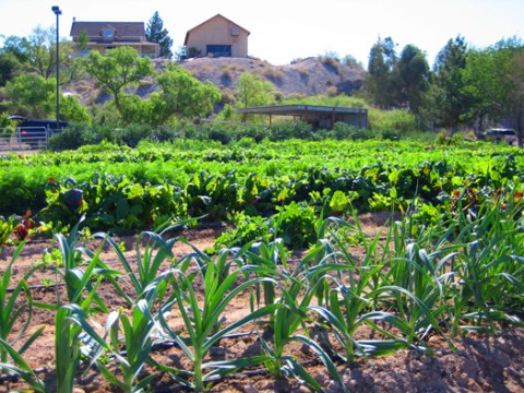 These 10 Charming Farms In Nevada Will Make You Love The Country