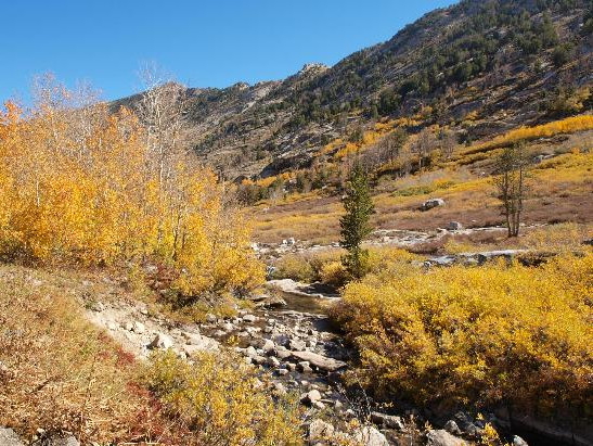 Ruby Mountains