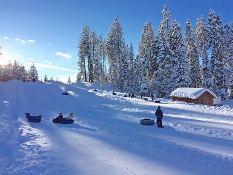 Here Are the 9 Best Places To Go Sled Riding In Washington This Winter