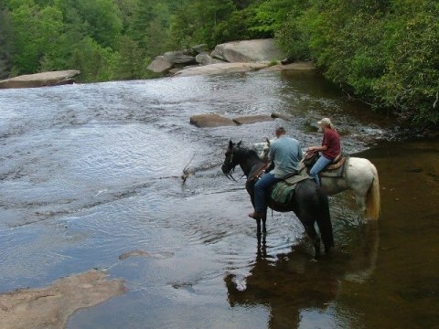 The Horseback Waterfall Tour In South Carolina That's Simply Unforgettable