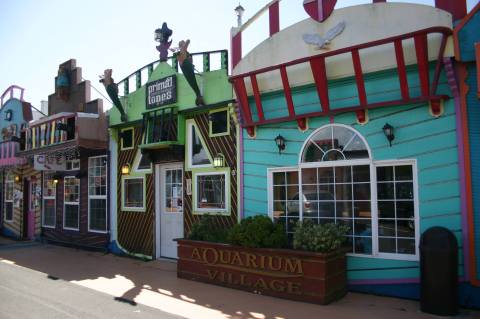 The Whimsical Street In Oregon That's Like Something Out Of A Fairy Tale