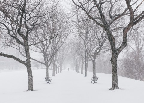 If You Live In Vermont, You’ll Want To Visit This Amazing Park This Winter