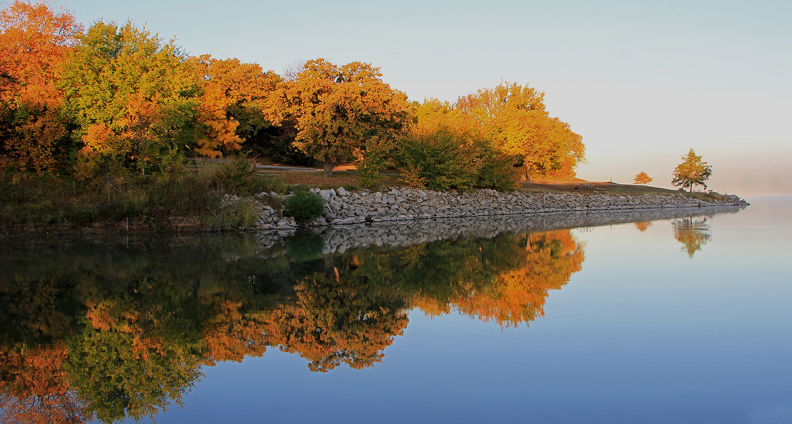 Kansas banner image